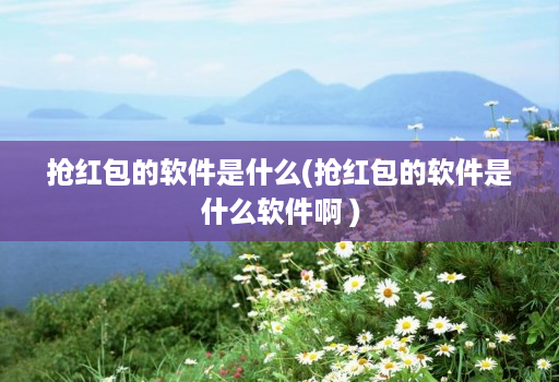 抢红包的软件是什么(抢红包的软件是什么软件啊 )