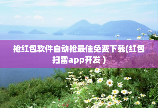 抢红包软件自动抢最佳免费下载(红包扫雷app开发 )