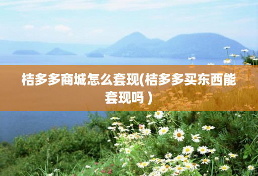 桔多多商城怎么套现(桔多多买东西能套现吗 )