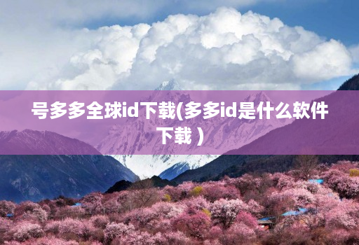 号多多全球id下载(多多id是什么软件下载 )