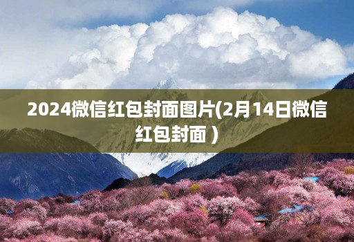 2024微信红包封面图片(2月14日微信红包封面 )