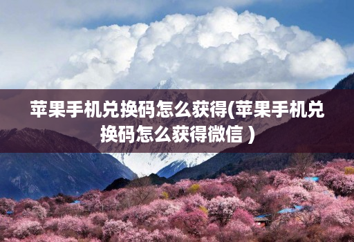 苹果手机兑换码怎么获得(苹果手机兑换码怎么获得微信 )