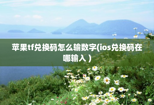 苹果tf兑换码怎么输数字(ios兑换码在哪输入 )
