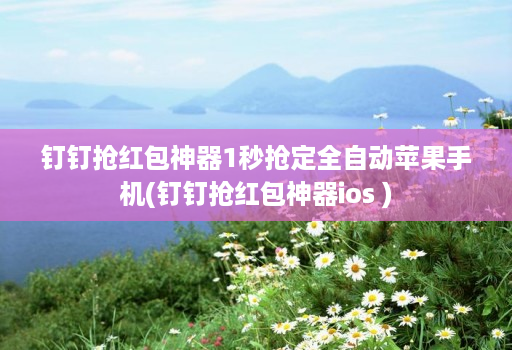 钉钉抢红包神器1秒抢定全自动苹果手机(钉钉抢红包神器ios )