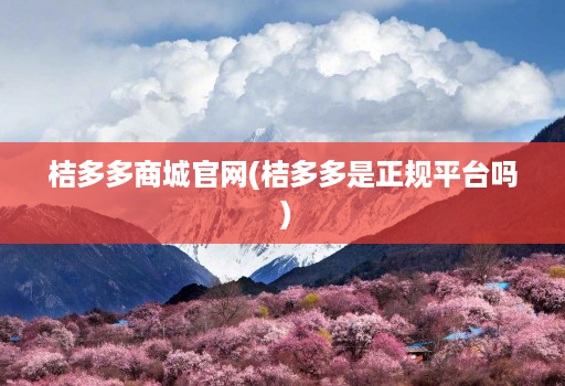 桔多多商城官网(桔多多是正规平台吗 )