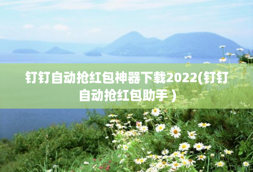 钉钉自动抢红包神器下载2022(钉钉自动抢红包助手 )