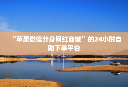 “苹果微信分身网红商城”的24小时自助下单平台