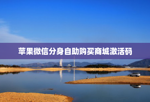 苹果微信分身自助购买商城激活码