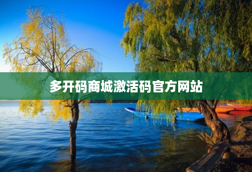 多开码商城激活码官方网站