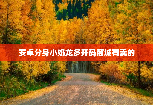 安卓分身小奶龙多开码商城有卖的
