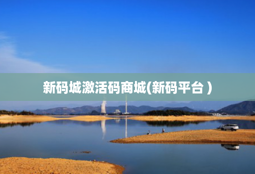 新码城激活码商城(新码平台 )