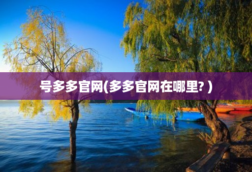 号多多官网(多多官网在哪里? )