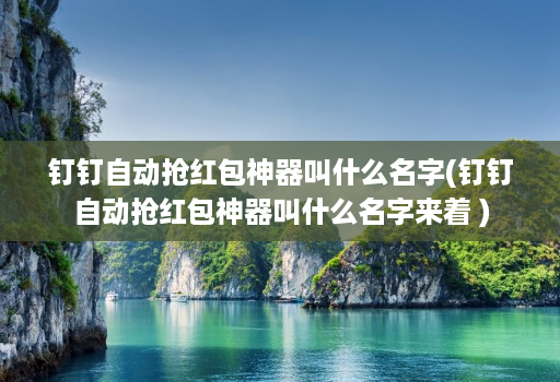 钉钉自动抢红包神器叫什么名字(钉钉自动抢红包神器叫什么名字来着 )
