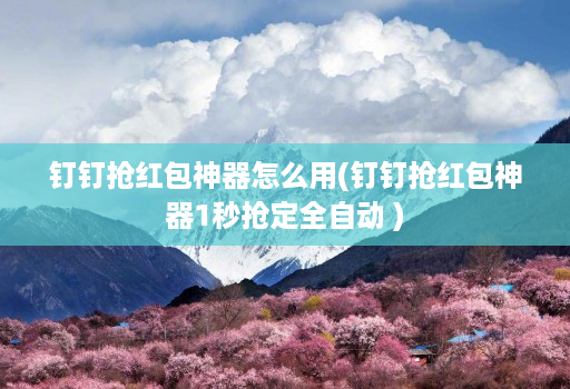 钉钉抢红包神器怎么用(钉钉抢红包神器1秒抢定全自动 )