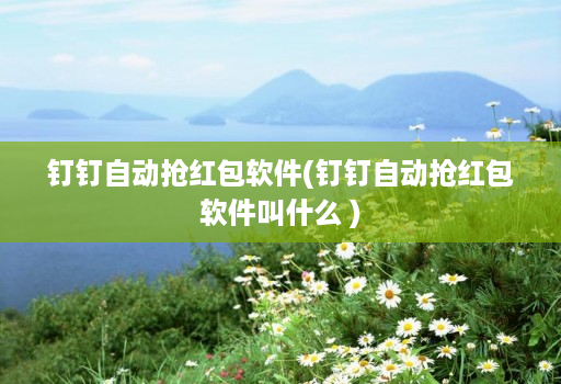 钉钉自动抢红包软件(钉钉自动抢红包软件叫什么 )