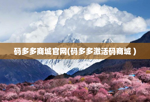 码多多商城官网(码多多激活码商城 )