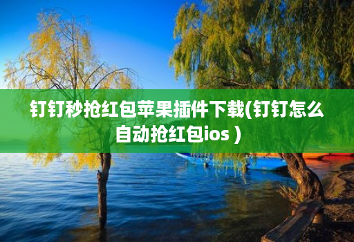 钉钉秒抢红包苹果插件下载(钉钉怎么自动抢红包ios )