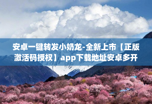 安卓一键转发小奶龙-全新上市【正版激活码授权】app下载地址安卓多开小奶龙华为手机支持么