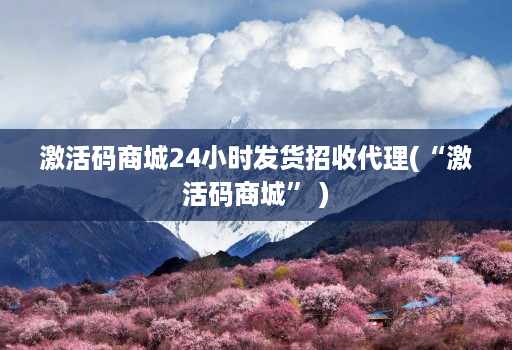 激活码商城24小时发货招收代理(“激活码商城” )