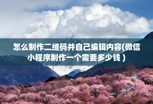 怎么制作二维码并自己编辑内容(微信小程序制作一个需要多少钱 )