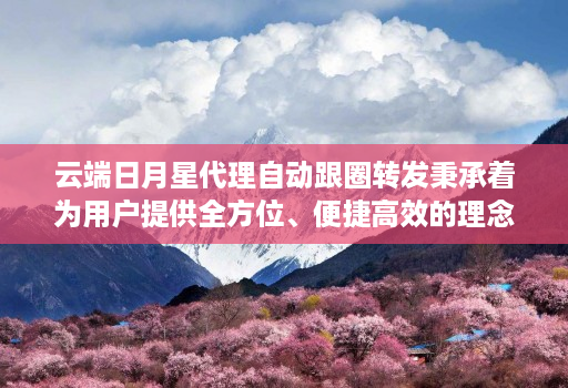 云端日月星代理自动跟圈转发秉承着为用户提供全方位、便捷高效的理念
