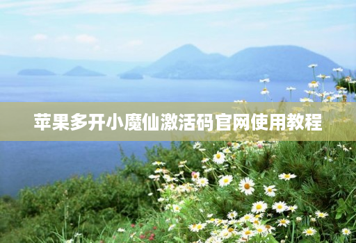 苹果多开小魔仙激活码官网使用教程