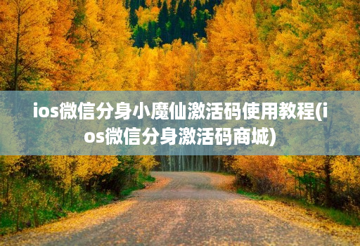ios微信分身小魔仙激活码使用教程(ios微信分身激活码商城)