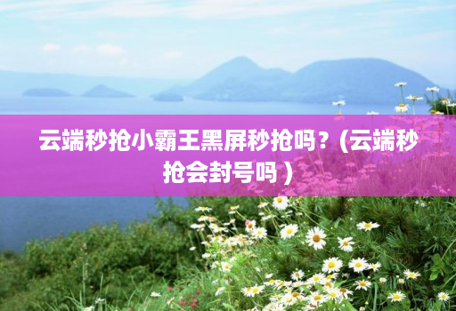 云端秒抢小霸王黑屏秒抢吗?(云端秒抢会封号吗 )