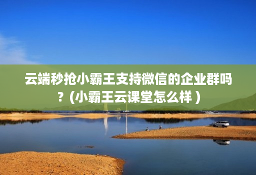 云端秒抢小霸王支持微信的企业群吗?(小霸王云课堂怎么样 )