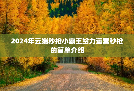 2024年云端秒抢小霸王给力运营秒抢的简单介绍