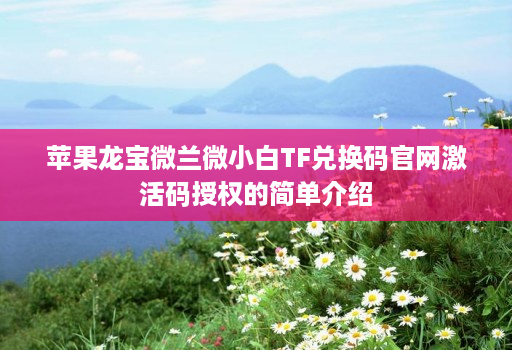 苹果龙宝微兰微小白TF兑换码官网激活码授权的简单介绍