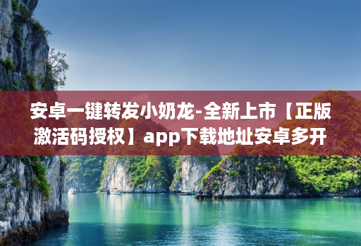 安卓一键转发小奶龙-全新上市【正版激活码授权】app下载地址安卓多开小奶龙能黑屏抢红包么