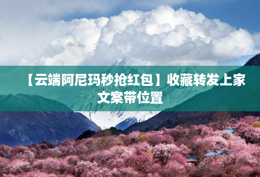 【云端阿尼玛秒抢红包】收藏转发上家文案带位置