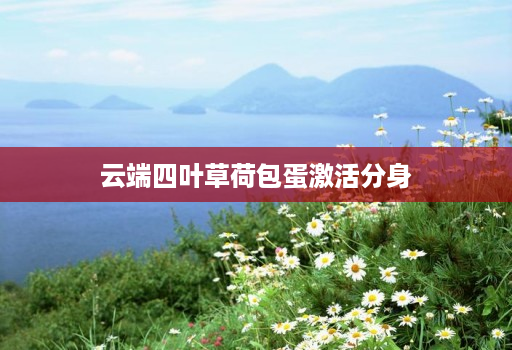 云端四叶草荷包蛋激活分身
