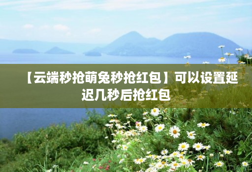 【云端秒抢萌兔秒抢红包】可以设置延迟几秒后抢红包