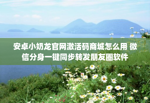 安卓小奶龙官网激活码商城怎么用 微信分身一键同步转发朋友圈软件