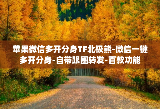 苹果微信多开分身TF北极熊-微信一键多开分身-自带跟圈转发-百款功能