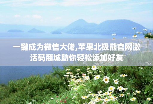 一键成为微信大佬,苹果北极熊官网激活码商城助你轻松添加好友