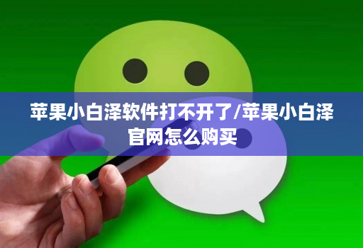 苹果小白泽软件打不开了/苹果小白泽官网怎么购买
