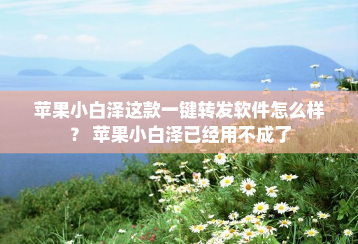 苹果小白泽这款一键转发软件怎么样? 苹果小白泽已经用不成了