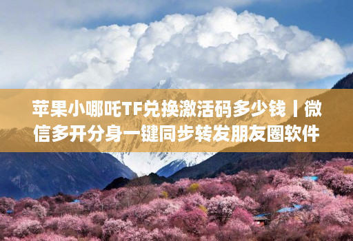 苹果小哪吒TF兑换激活码多少钱丨微信多开分身一键同步转发朋友圈软件