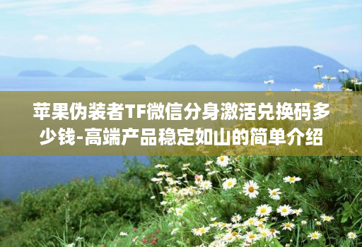苹果伪装者TF微信分身激活兑换码多少钱-高端产品稳定如山的简单介绍