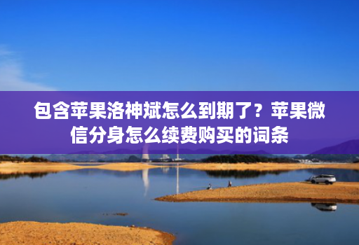 包含苹果洛神斌怎么到期了?苹果微信分身怎么续费购买的词条