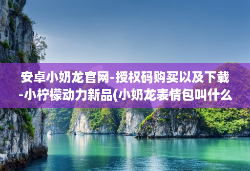 安卓小奶龙官网-授权码购买以及下载-小柠檬动力新品(小奶龙表情包叫什么名字 )