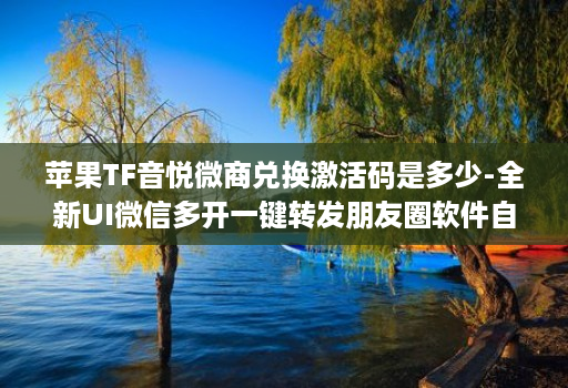 苹果TF音悦微商兑换激活码是多少-全新UI微信多开一键转发朋友圈软件自动跟圈转发