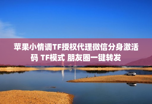 苹果小情调TF授权代理微信分身激活码 TF模式 朋友圈一键转发