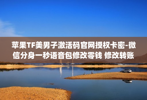 苹果TF美男子激活码官网授权卡密-微信分身一秒语音包修改零钱 修改转账金额