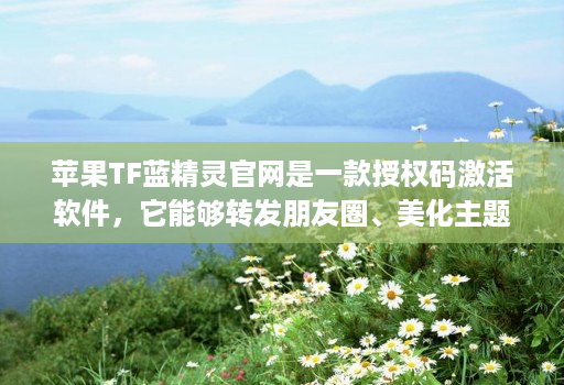 苹果TF蓝精灵官网是一款授权码激活软件,它能够转发朋友圈、美化主题、隐藏密友和自动跟圈,还具备分身功能