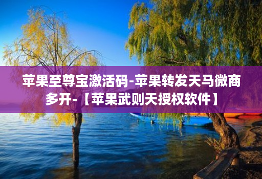 苹果至尊宝激活码-苹果转发天马微商多开-【苹果武则天授权软件】
