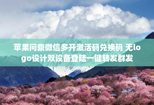 苹果问鼎微信多开激活码兑换码 无logo设计双设备登陆一键转发群发